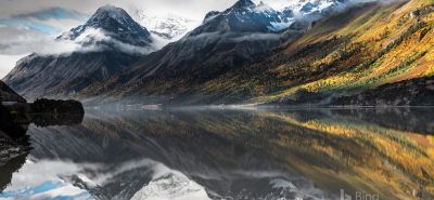 New Website Launched&excl;