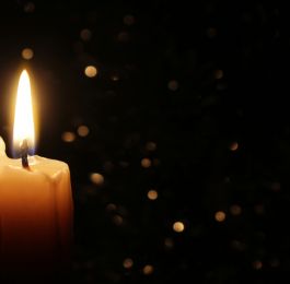 Click Here To View Larger Image