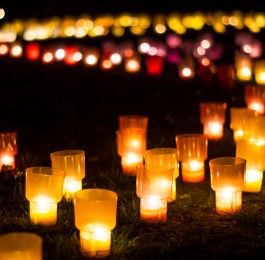 Click Here To View Larger Image