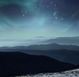 Click Here To View Larger Image